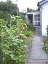 Eingang Strasse